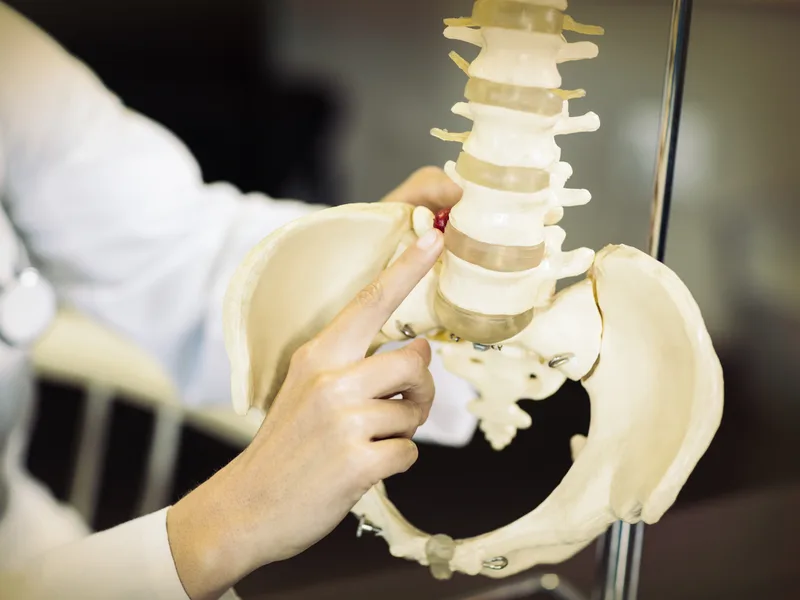 Gonstead Technique at Camel City Chiropractic in Hudsonville