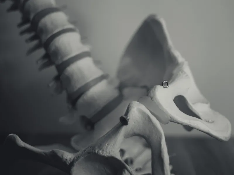 X-Rays at Camel City Chiropractic in Hudsonville